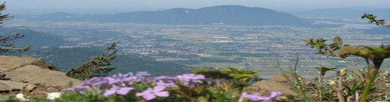 The Fraser Valley